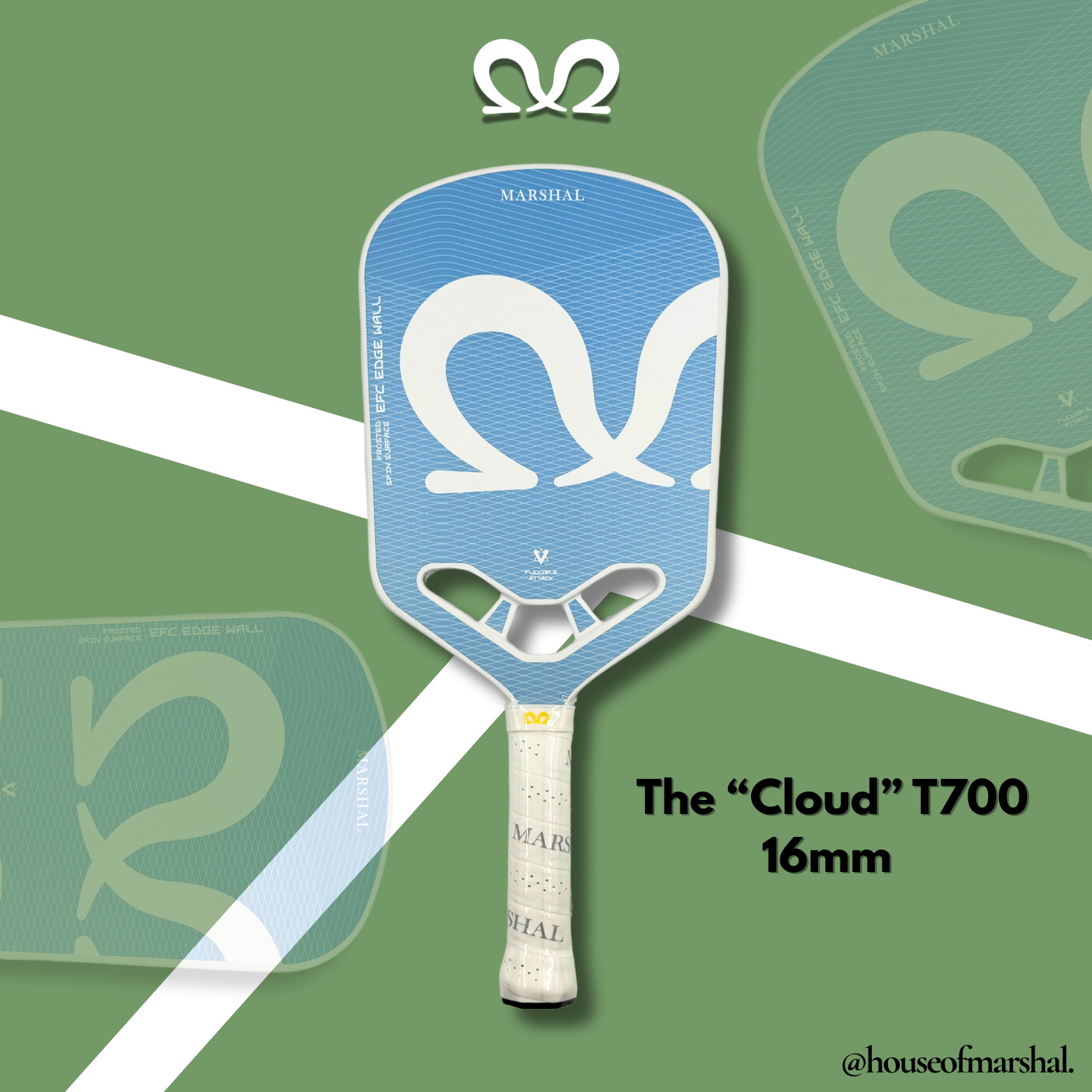 The 'Cloud' T700 Carbon Fiber 16MM Pickleball Paddle