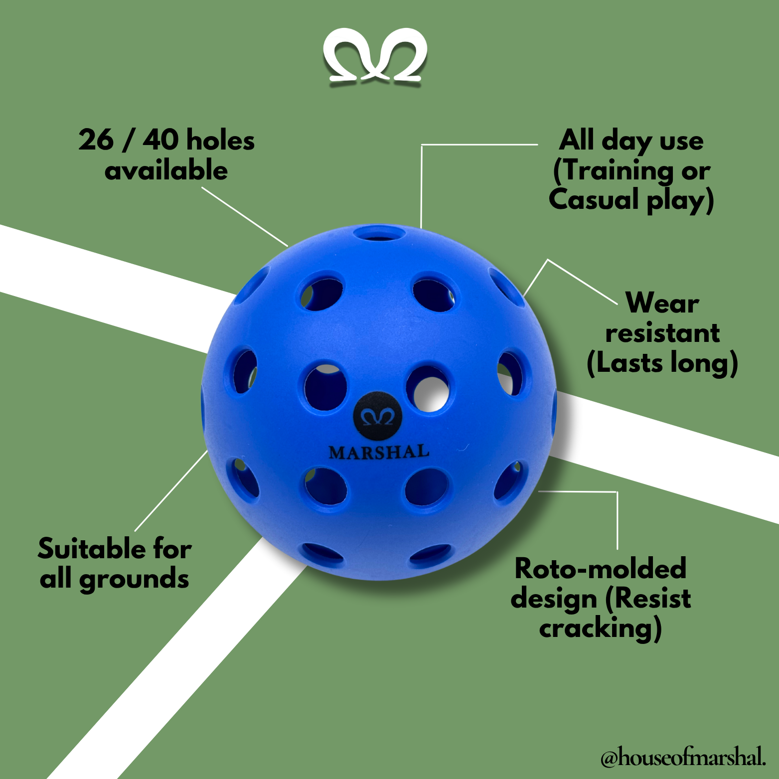 [3 PCS] All Day Use Pickleball | 26 & 40 Holes Secondary image