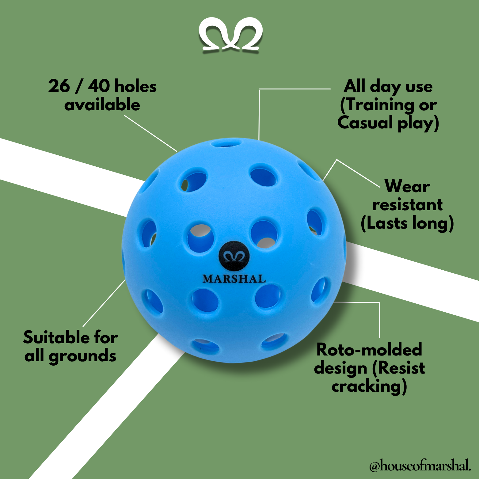 [3 PCS] All Day Use Pickleball | 26 & 40 Holes