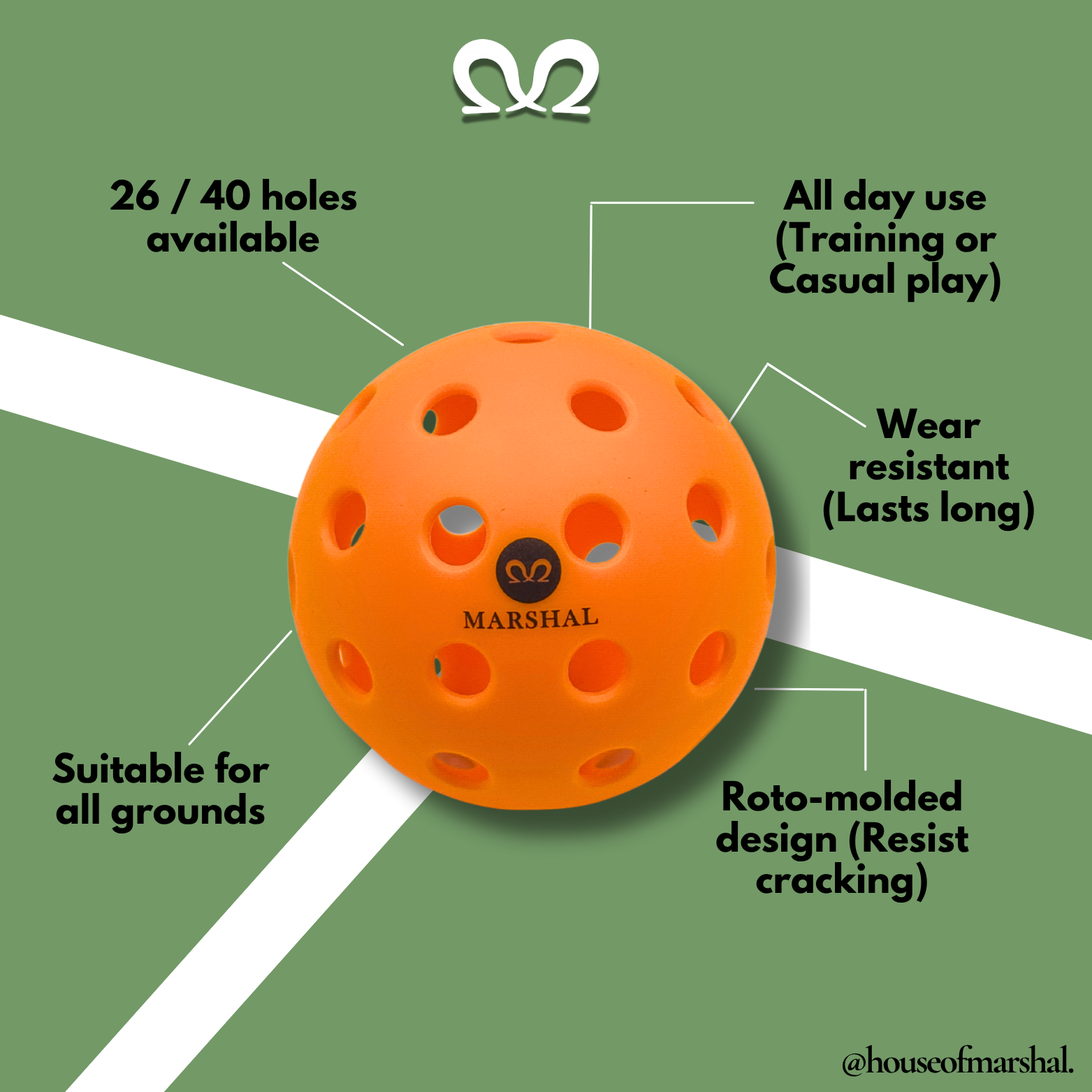 [3 PCS] All Day Use Pickleball | 26 & 40 Holes