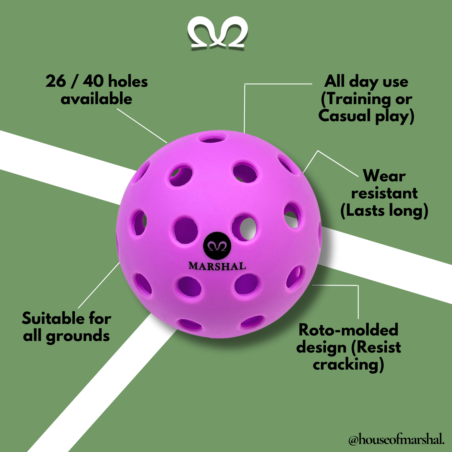 [3 PCS] All Day Use Pickleball | 26 & 40 Holes