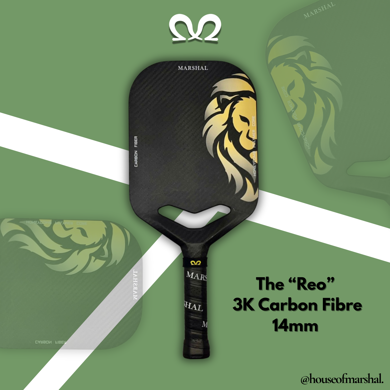 The 'Reo' 3K Carbon Fiber 14MM Pickleball Paddle Main image